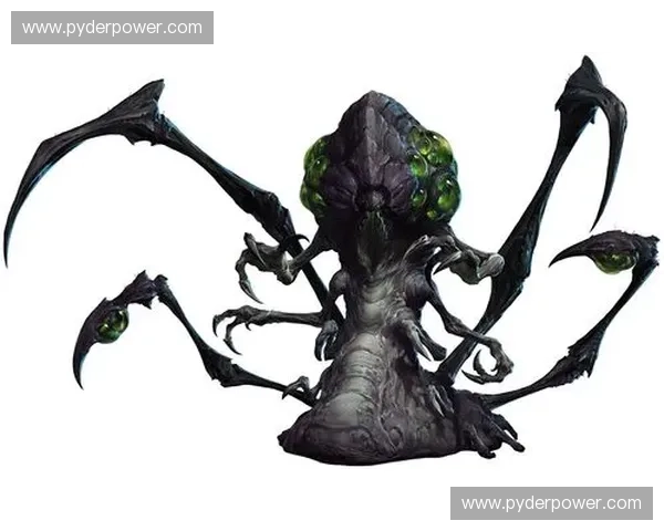 《风暴英雄高延迟问题解析及优化建议提升游戏体验》